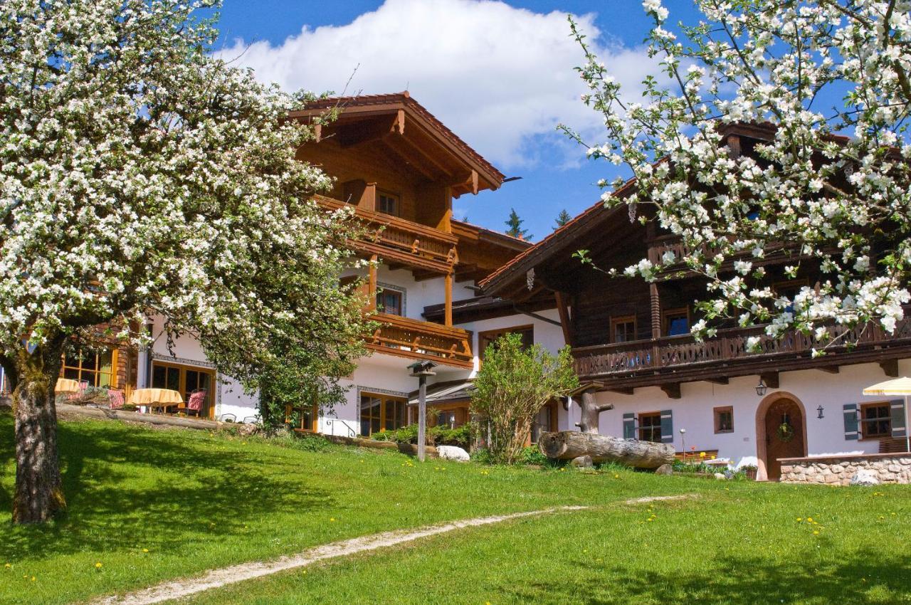 Hotel Alpenhotel Hundsreitlehen Bischofswiesen